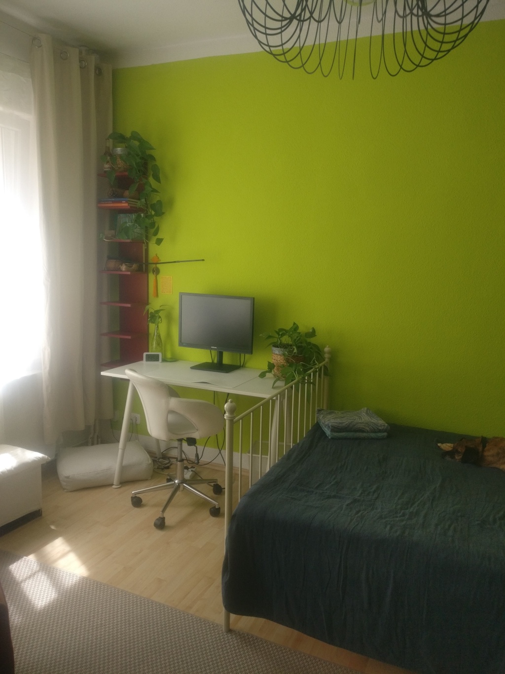 Flatshare Lichtenhain Rupprechtstraße - picture 5