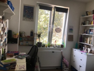 Anzeigenbild: gemütliches Wg-Zimmer in 5er Wg in der Neustadt