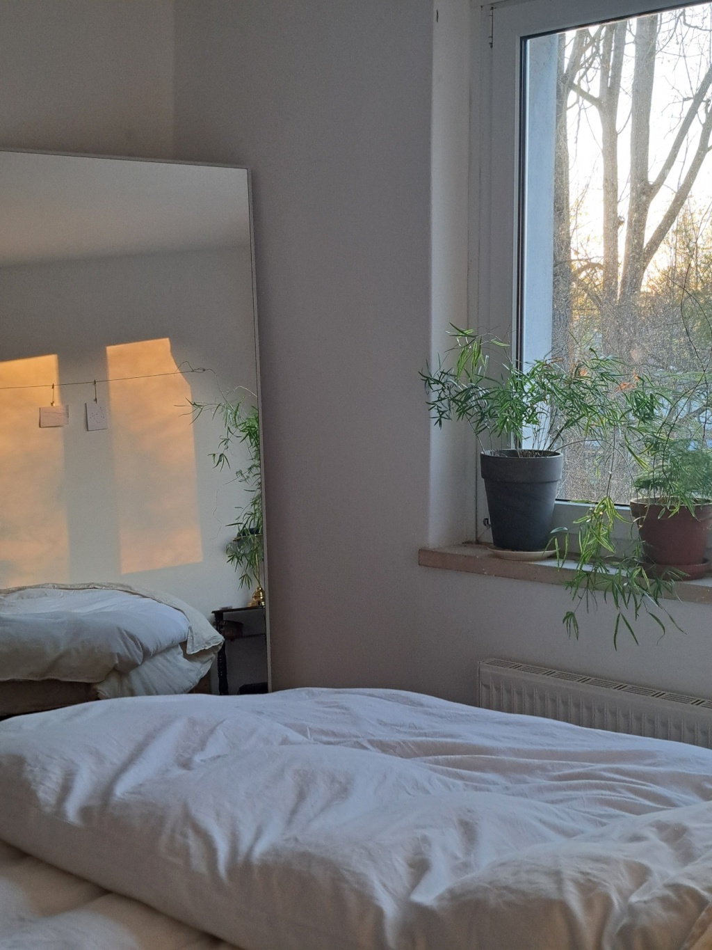 Flat Plänterwald Platanenweg - schlafzimmer mit abendlicht, 160x200 m Bett