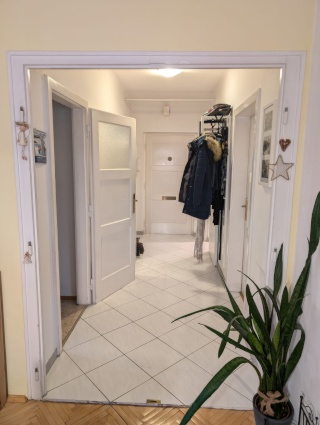 Anzeigenbild: Wohnung für 3er-WG oder Jungfamilie zu vermieten
