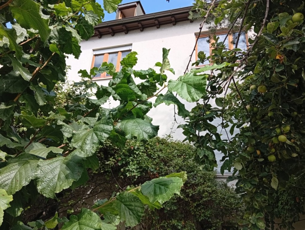 Freundliche und helle 3-Zi-Wohnung in Bad Cannstatt – Saarstr, 70374 Stuttgart Bad Cannstatt – Vorschaubild 7