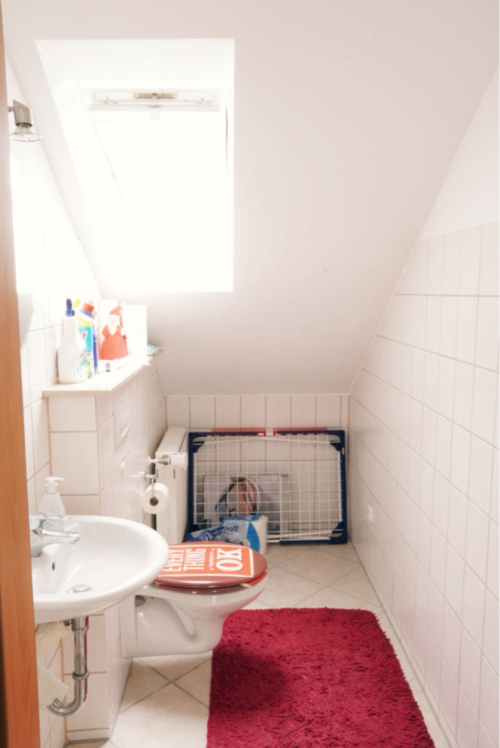 Habitación en WG Schönbrunn Niedermayerstraße - foto 3