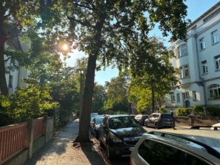 Anzeigenbild: All-Inclusive 1.5-Room Apartment with Balcony near Alaunpark, Neustadt | 1-Year Sublet | Anmeldung Possible