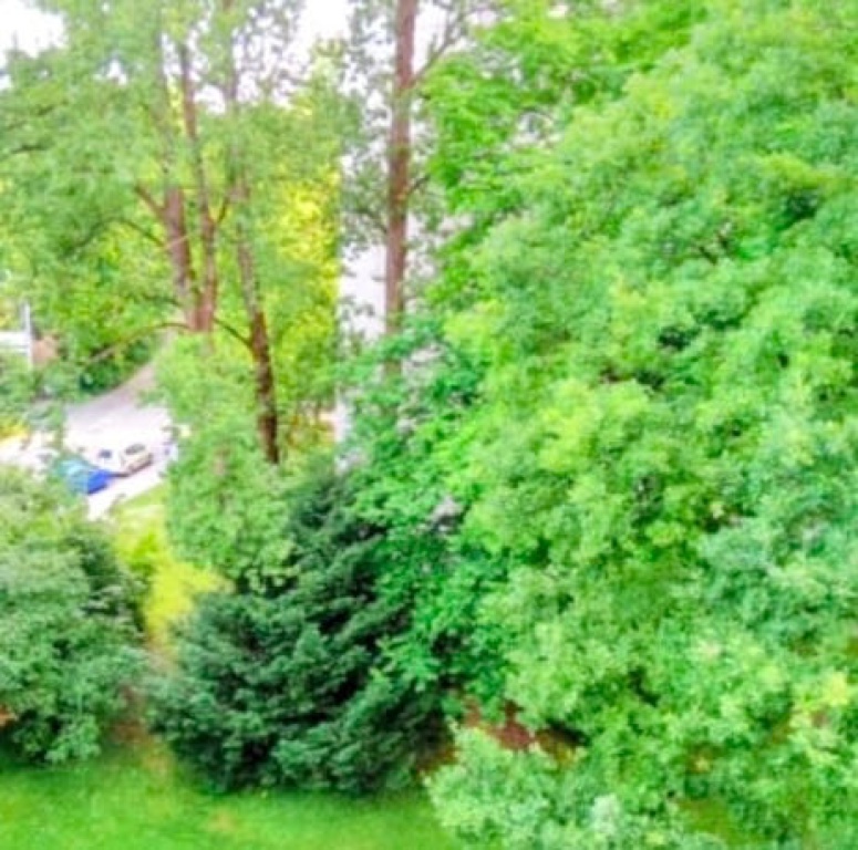 Wohnung Bogenhausen Buschingstraße 45 - Bild 12
