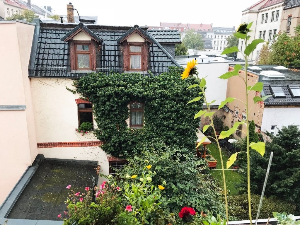 idyllische 2-Raum-Wohnung mit Dächerblick vom Balkon im denkmalgeschütztem Haus