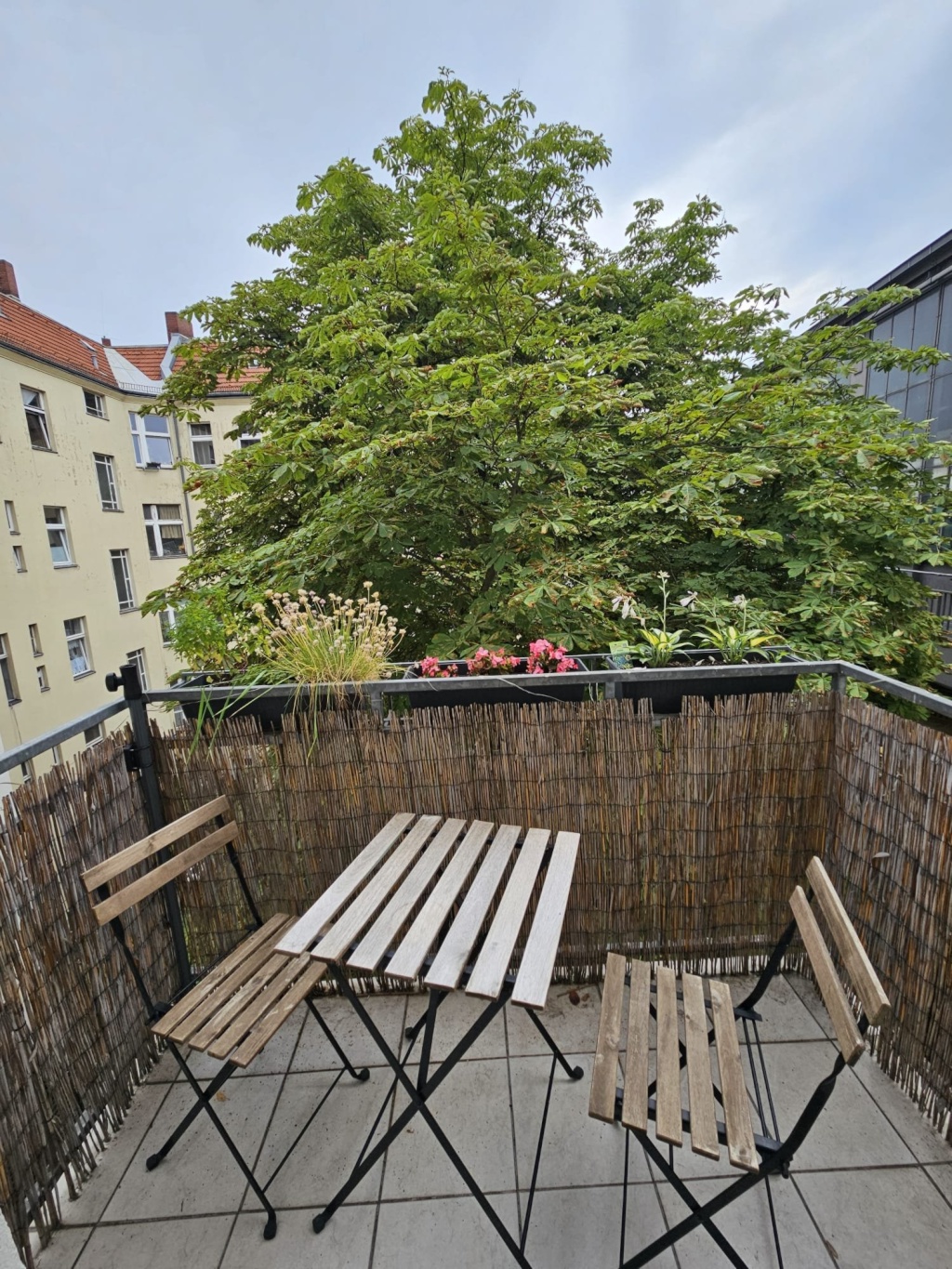 Wohnung Schöneberg Ebersstraße - Bild 3
