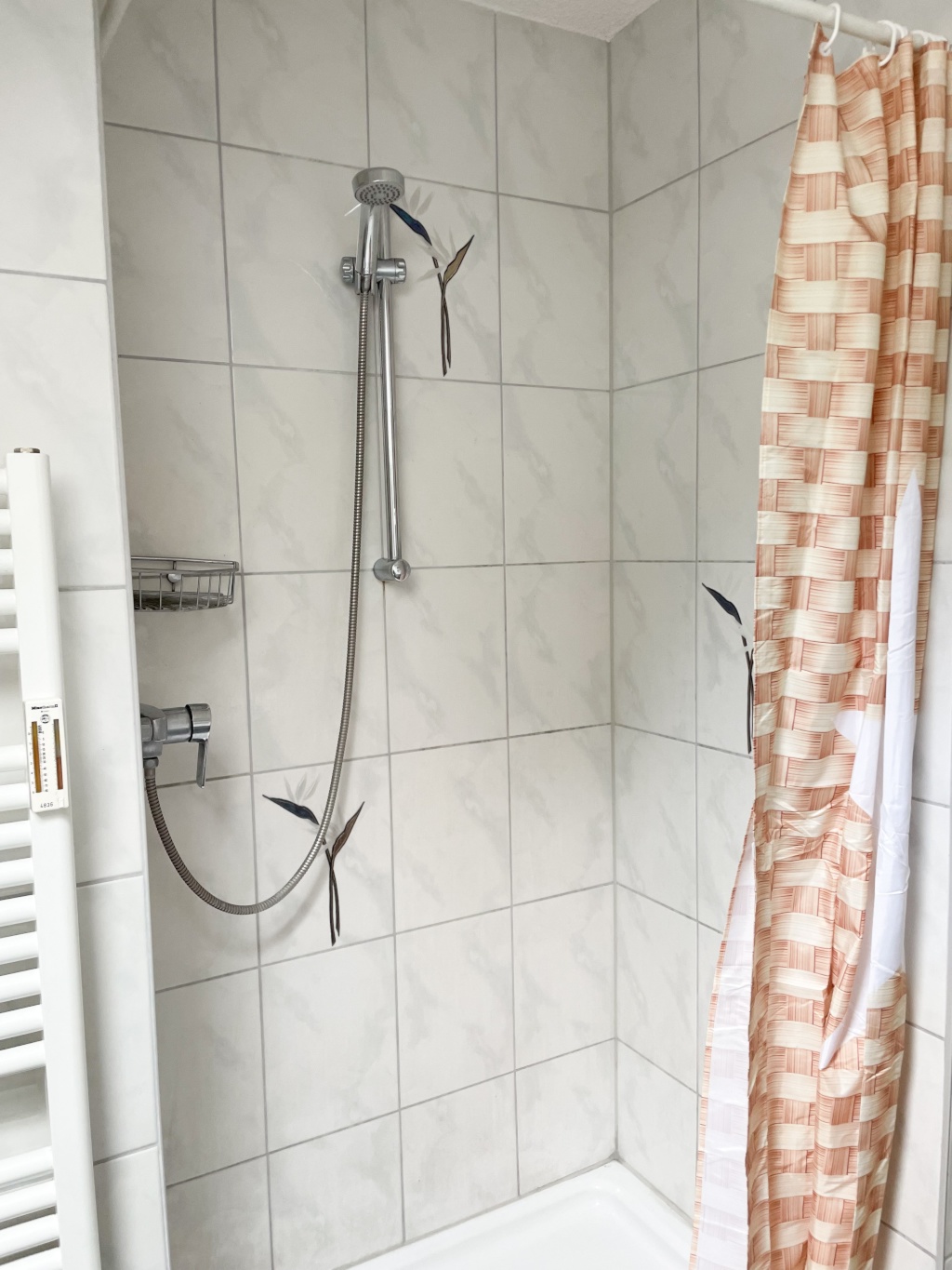 1 Room Flat Neckarstadt Zeppelinstraße  27 - Badezimmer
