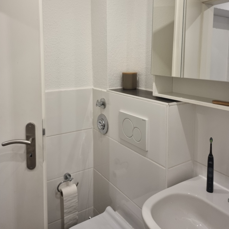 möblierte Einzimmerwohnung zur Untermiete, befristet – Stoeckhardtstraße, 20535 Hamburg Hamm – Vorschaubild 11