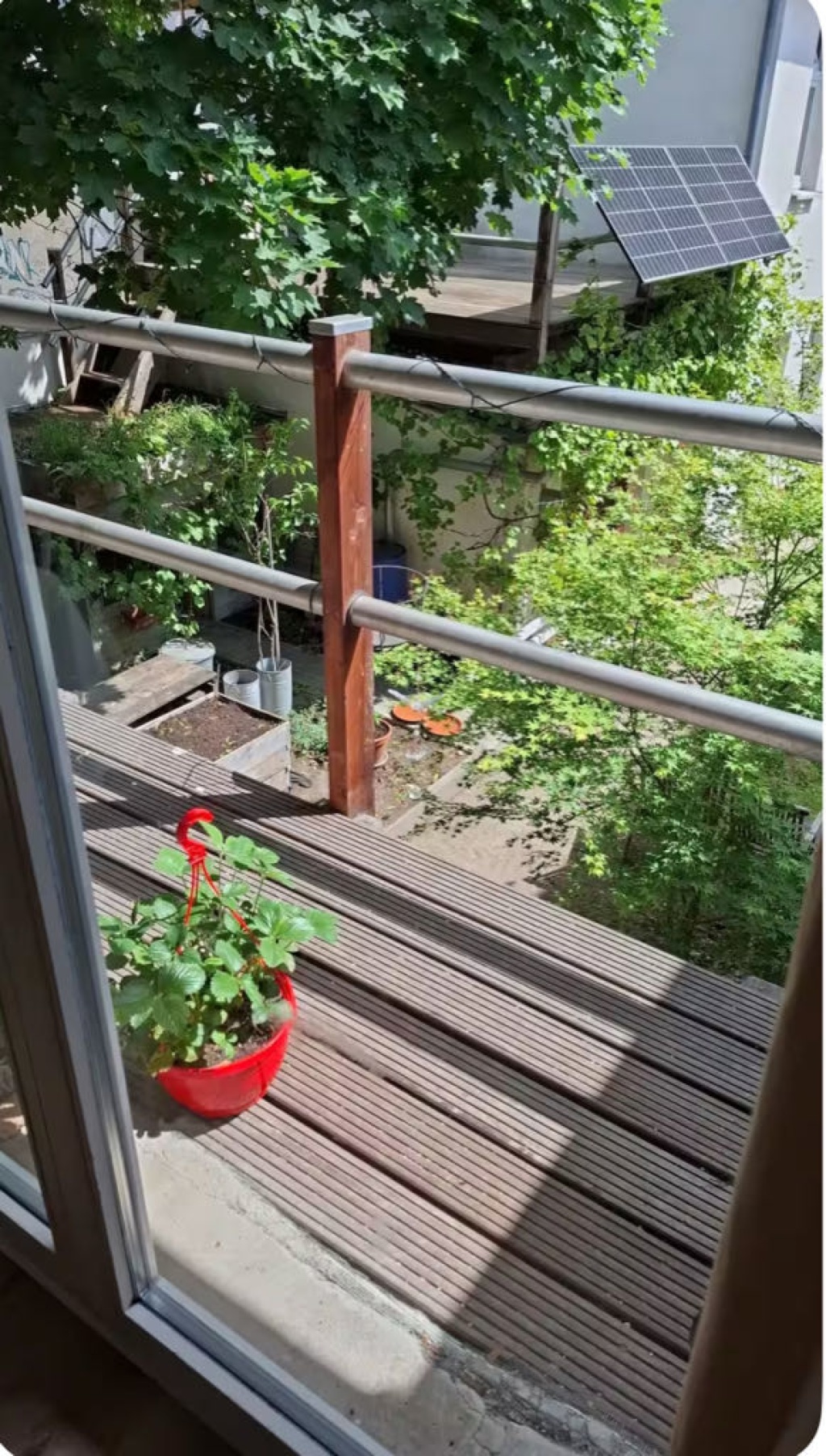 1-Zimmer-Wohnung Prenzlauer Berg Prenzlauer Allee 49 - Bild 2