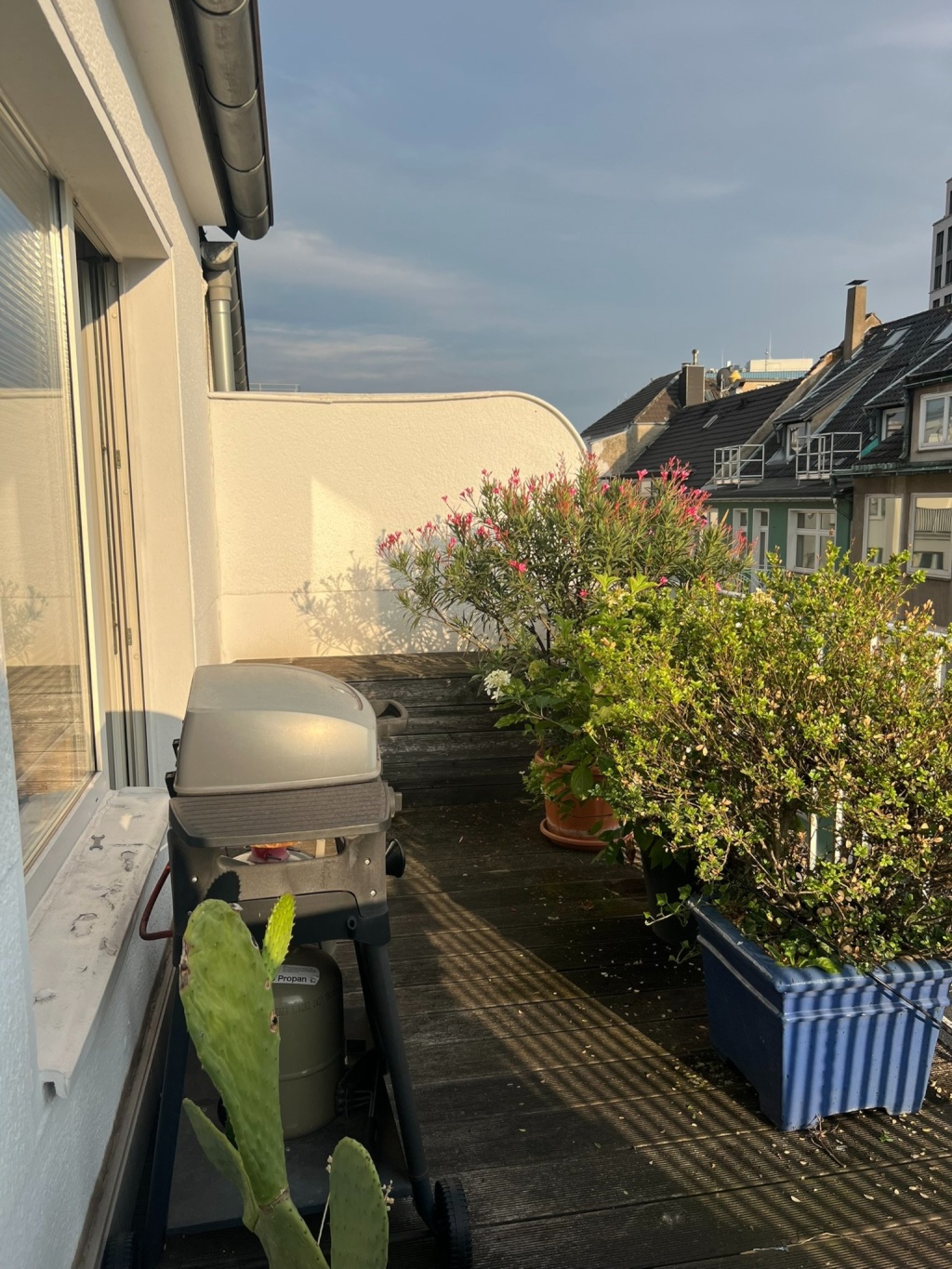 WG-Zimmer Stadtmitte Klosterstraße - Südterrasse mit Grill