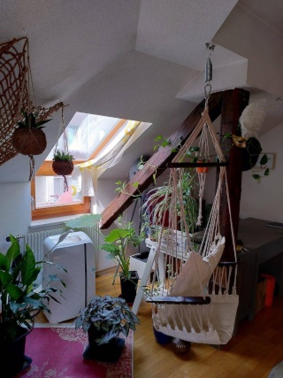 Anzeigenbild: WG-taugliche 2-Zimmer-Dachgeschosswohnung mit Kamin am Lendplatz – provisionsfrei