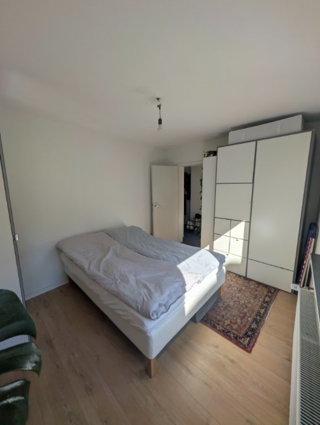 Medizinstudent*innen als Nachmieter gesucht - 54qm 2 Zimmer Wohnung in Poppelsdorf – Reuterstraße, 53113 Bonn Poppelsdorf – Vorschaubild 5