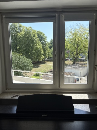 Zimmer in 2er-WG in Milbertshofen – 750 € all-in / vegan