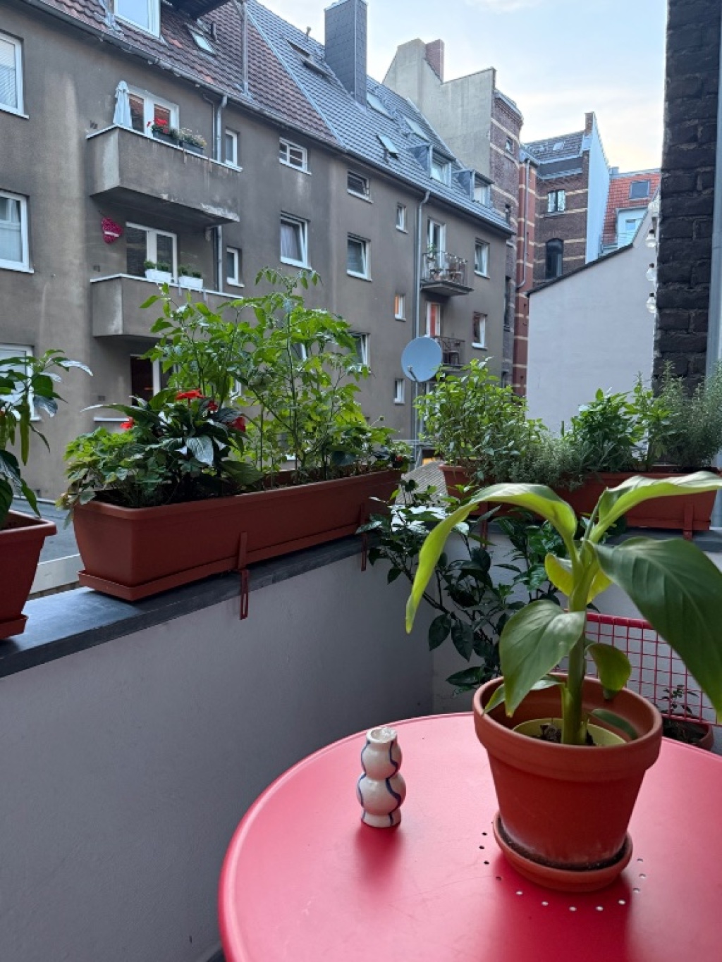 Wohnung in der Kölner Südstadt zu vermieten ☀️ (Zeitraum flexibel) – Zwirnerstraße, 50678 Köln Altstadt-Süd – Vorschaubild 2