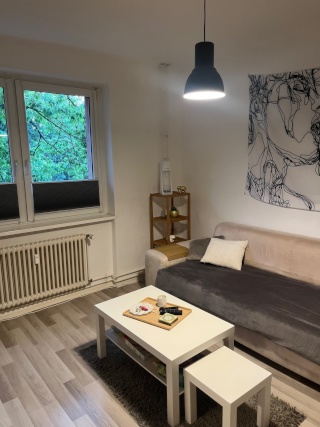 Befristet: Voll ausgestattete Zweizimmerwohnung in Prenzlauer Berg — photo 1