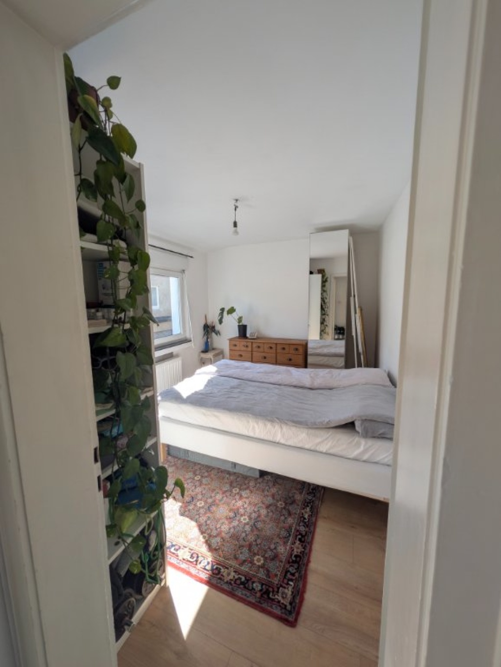 Medizinstudent*innen als Nachmieter gesucht - 54qm 2 Zimmer Wohnung in Poppelsdorf – Reuterstraße, 53113 Bonn Poppelsdorf – Vorschaubild 6