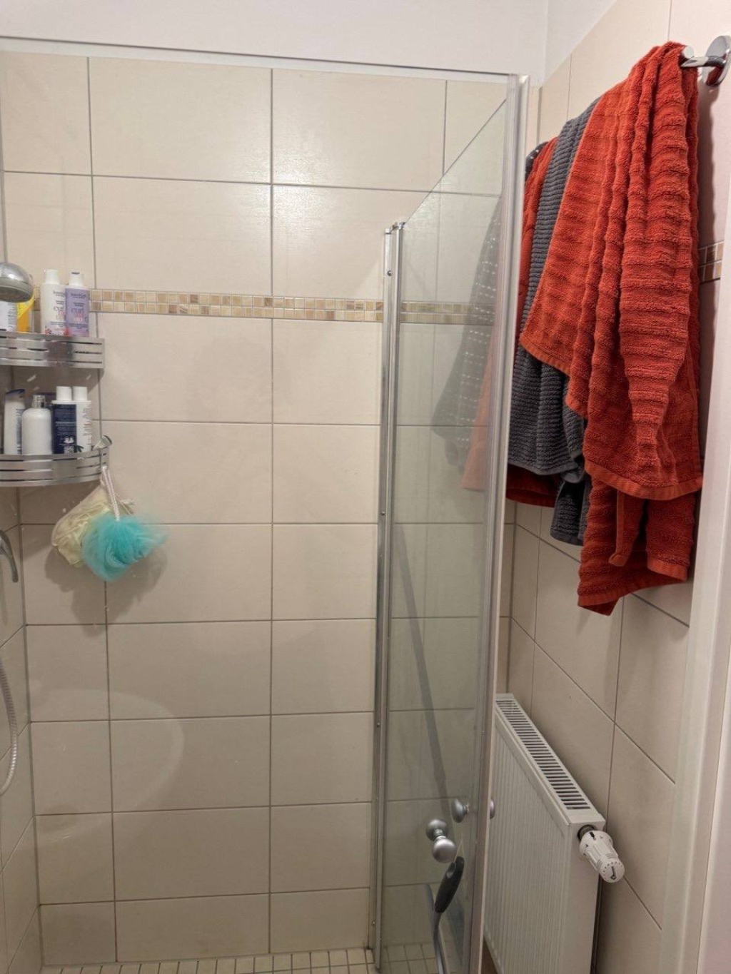 Wohnung Halle (Saale) Weidenplan 6 - Bild 10
