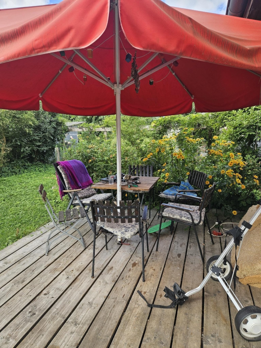 Flatshare Erkner Unter den Birken - Terrasse