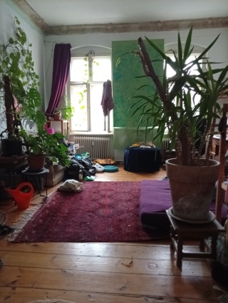 Anzeigenbild