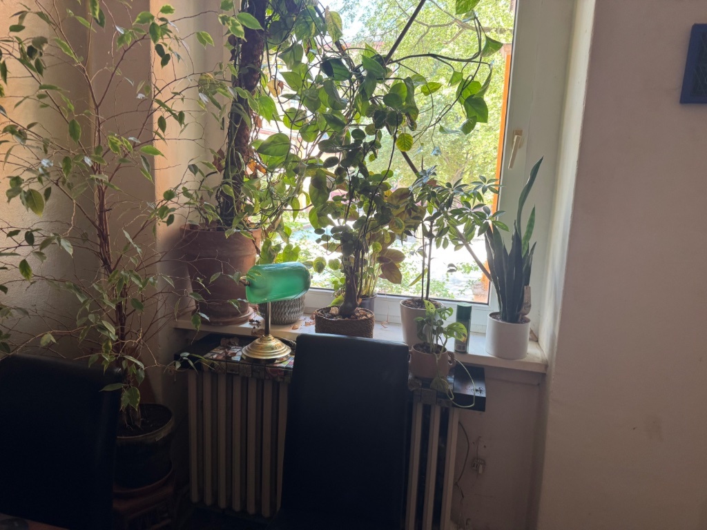 WG-Zimmer Schöneberg Kluckstraße 31 - Bild 2