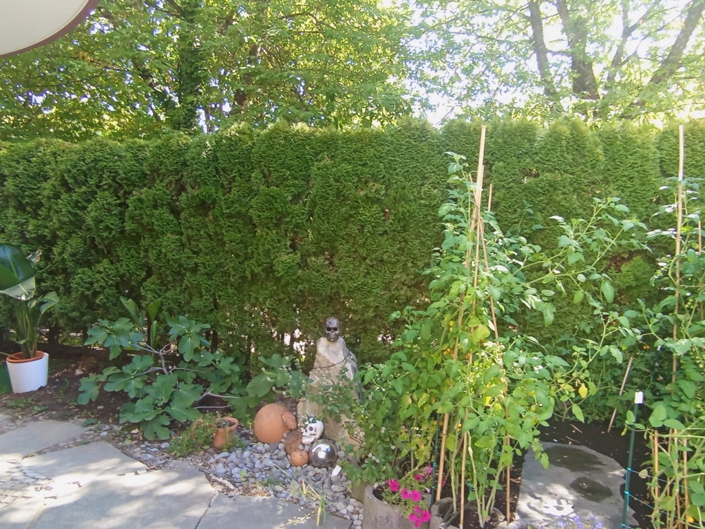 Großzügige, möblierte 2-Zimmer-Wohnung mit Garten, Jacuzzi & Terrasse in Stuttgart-Riedenberg – befristet für 3 Monate – Wiesenäckerstraße, 70619 Stuttgart Riedenberg – Vorschaubild 6