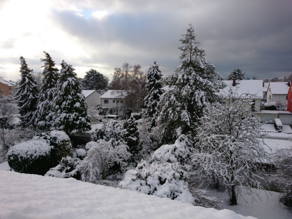 WG-Zimmer Frankfurt An der Wolfsweide 00 - Winter View