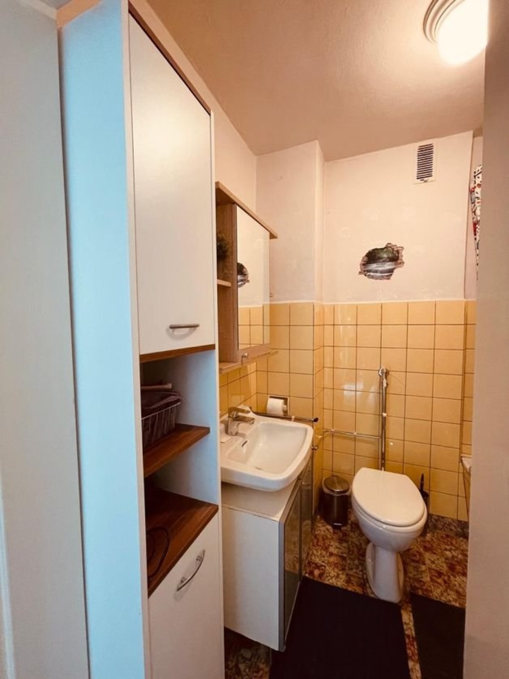 2er WG 2-ZKDB Koblenz Metternich nähe "Uni" und Stadt Koblenz an Studentinnen – bekannt, 56072 Koblenz Metternich – Vorschaubild 13