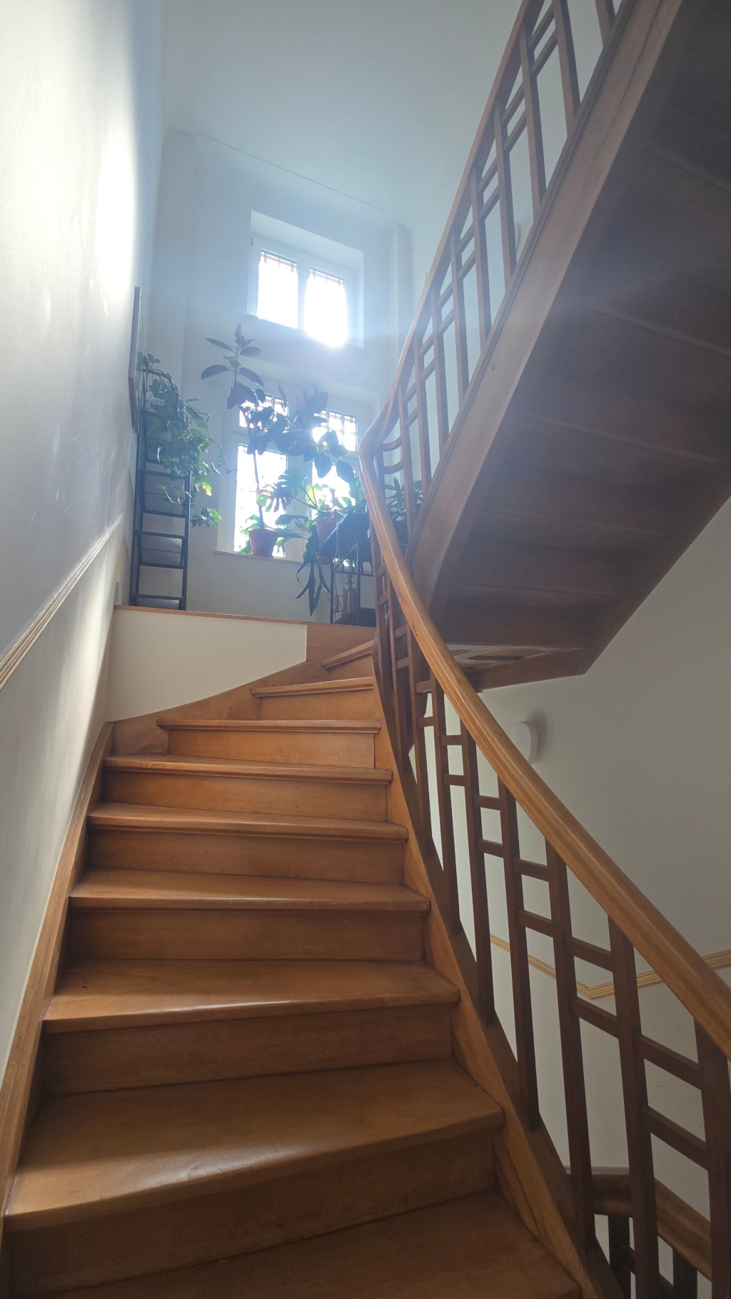 Schönes Dachgeschoss, beste Lage Poppelsdorf, Balkon, möbliert – Sternenburgstraße 83, 53115 Bonn Poppelsdorf – Vorschaubild 6