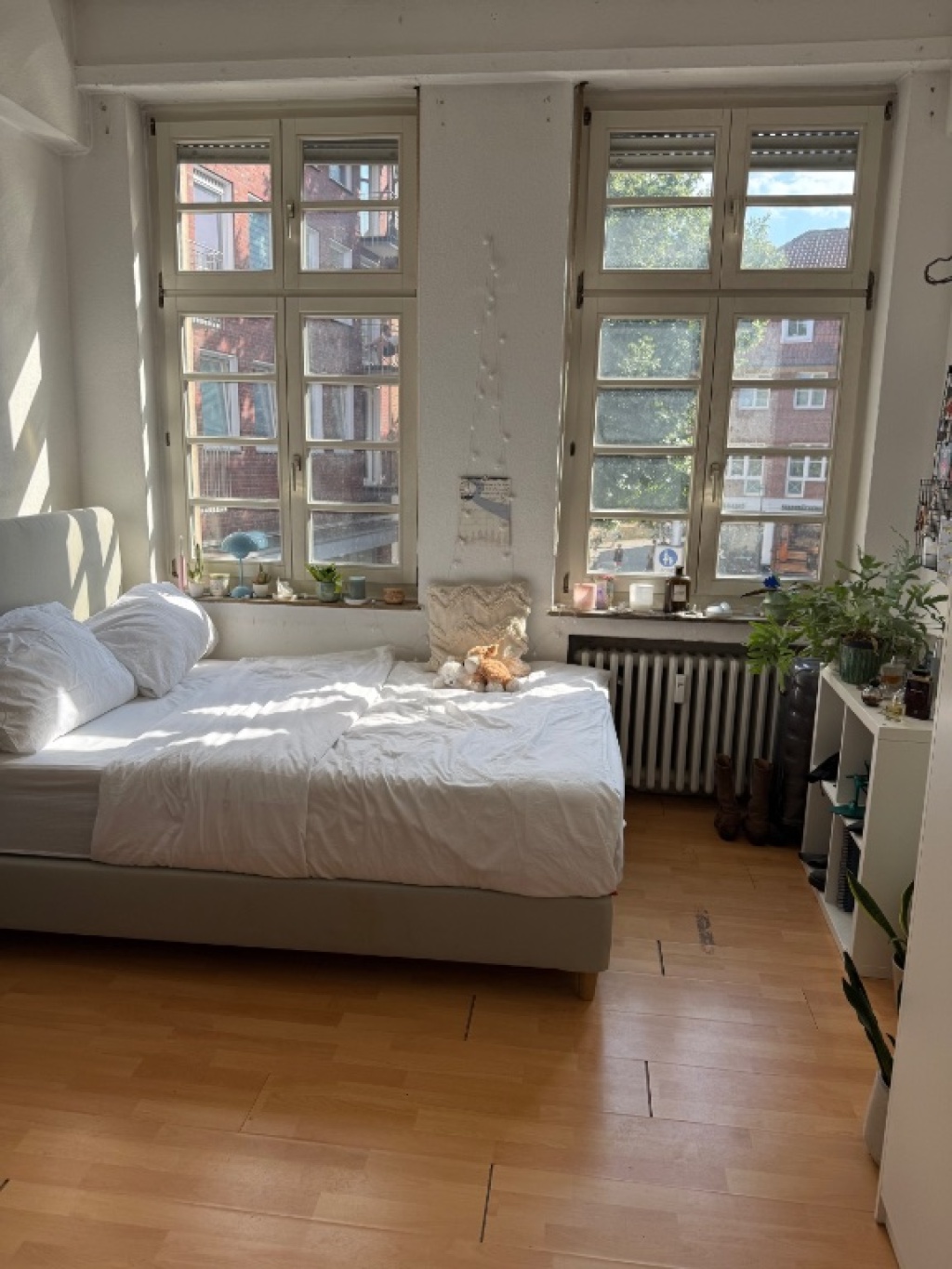 WG-Zimmer Centrum Alter Steinweg 26 - Bild 1