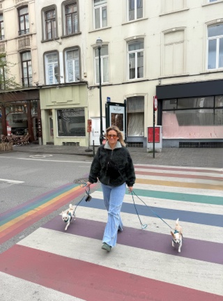 Anzeigenbild