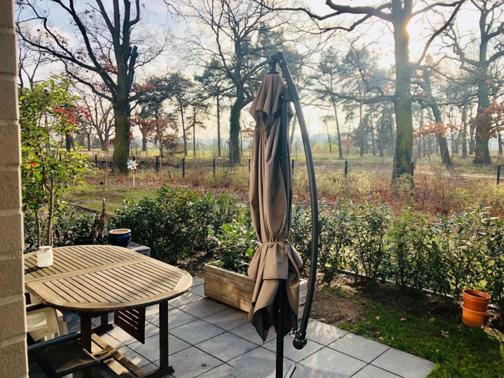 Apartamento Karlshorst Am Carlsgarten 14 - Garten