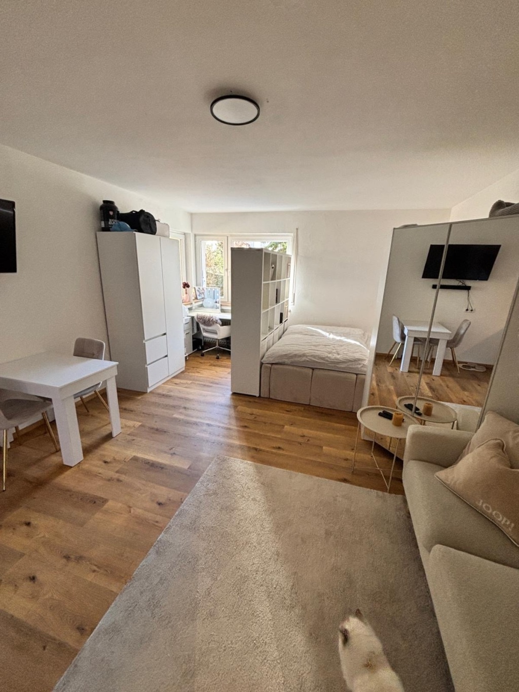 1 Room Flat Südstadt Tettnanger Straße - picture 1