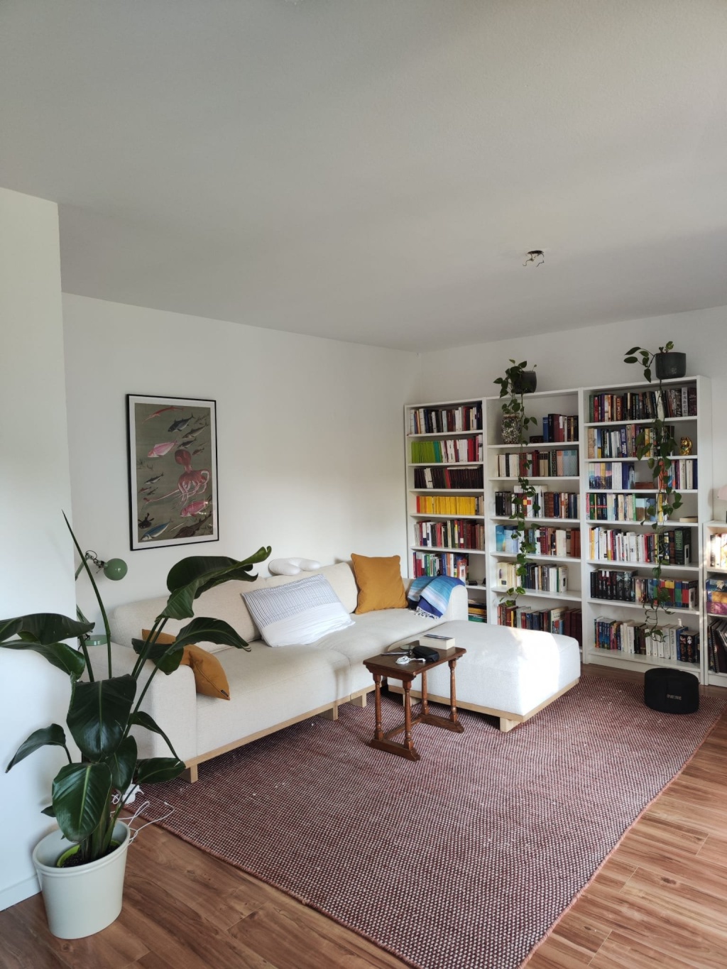 Zwischenmiete in Kölner Südstadt – Lothringer Str., 50677 Köln Neustadt-Süd – Vorschaubild 2