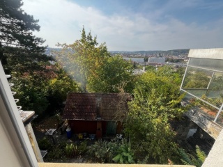 Anzeigenbild: Haus-WG mit großem Garten