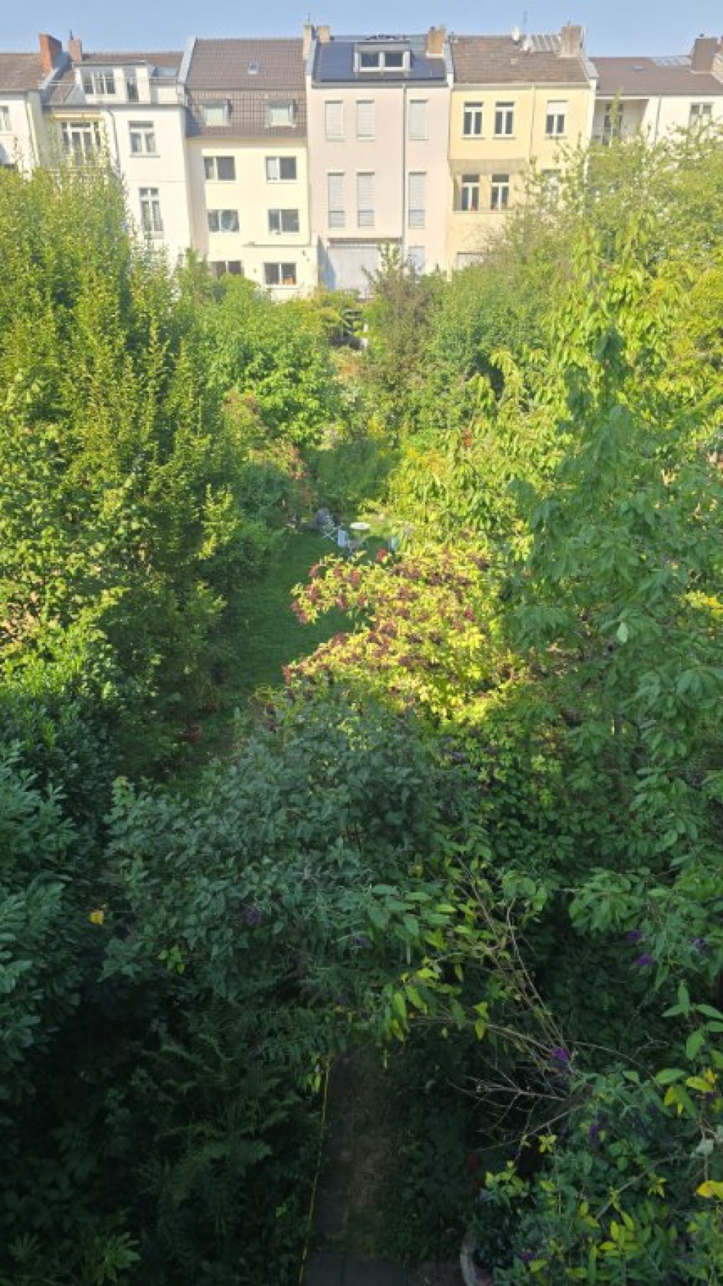 Schönes Dachgeschoss, beste Lage Poppelsdorf, Balkon, möbliert – Sternenburgstraße 83, 53115 Bonn Poppelsdorf – Vorschaubild 7