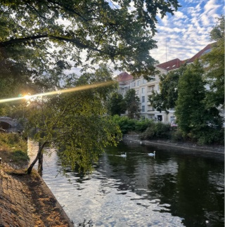 Stay by the Canal 🍃 — photo 1