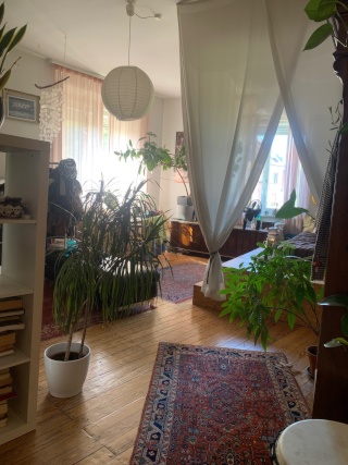 Die K13 sucht ein*e neu*e Mitbewohni☀️