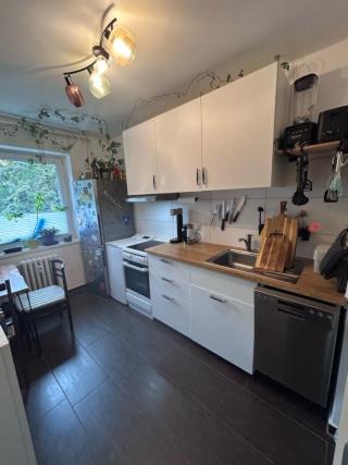 zentrale 2 Zi Wohnung zur Untermiete für September — photo 1