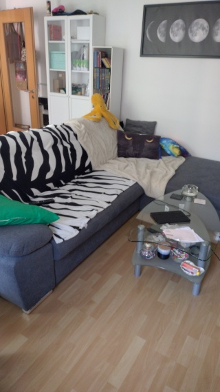 🌿 Möblierte 2-Zimmer-Wohnung in Pankow mit Katze sucht liebevolle Zwischenmieterin | 04.09.–19.10. — photo 1