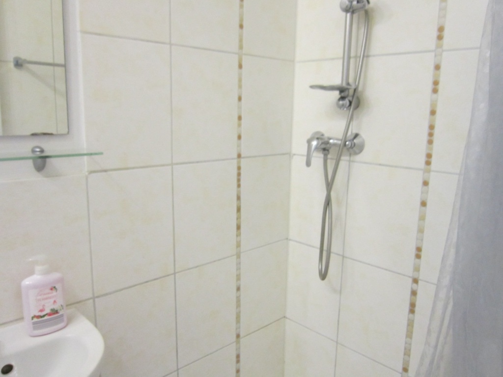 1-Zimmer-Wohnung Allmannsdorf Schiffstraße, Fähre - Zimmer 2 Dusche_WC