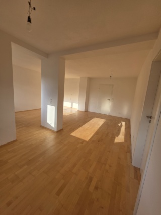 Ad image: WG Zimmer Rutesheim Festhalle