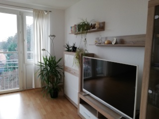 Sonnige, vollmöblierte 2-Zimmer-Wohnung (71 m2) in Berlin-Tegel — photo 1