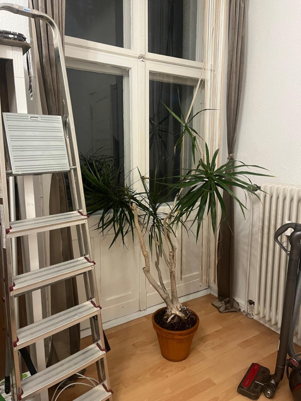 Habitación en WG Charlottenburg Fritschestraße - foto 6