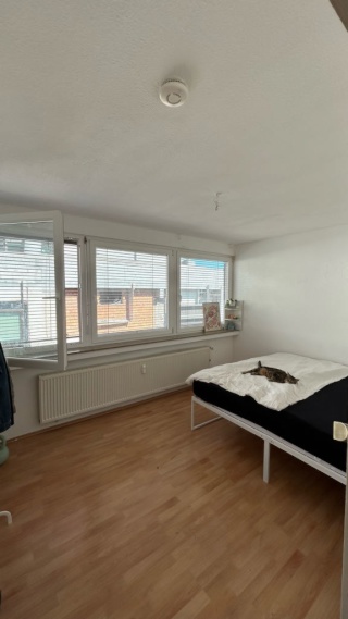 Anzeigenbild: Helles 1/halbes Zimmer (mit einem großen schrank)