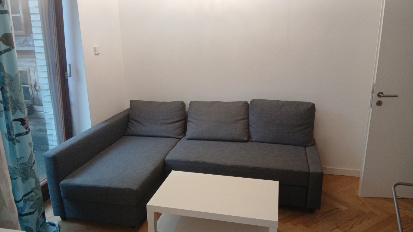 Wohnung Prenzlauer Berg Gotlandstr. 00 - Wonzimmer/living