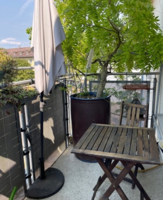 Ad image: Helle 110qm-Wohnung, möbliert, mit Balkon - top Busanbindung - gute Infrastruktur - freundliche Nachbarn, beliebtes Wohnviertel (30km/h-Zone)
