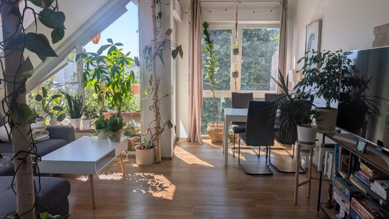 Bright 2-room apartment with balcony near University campus