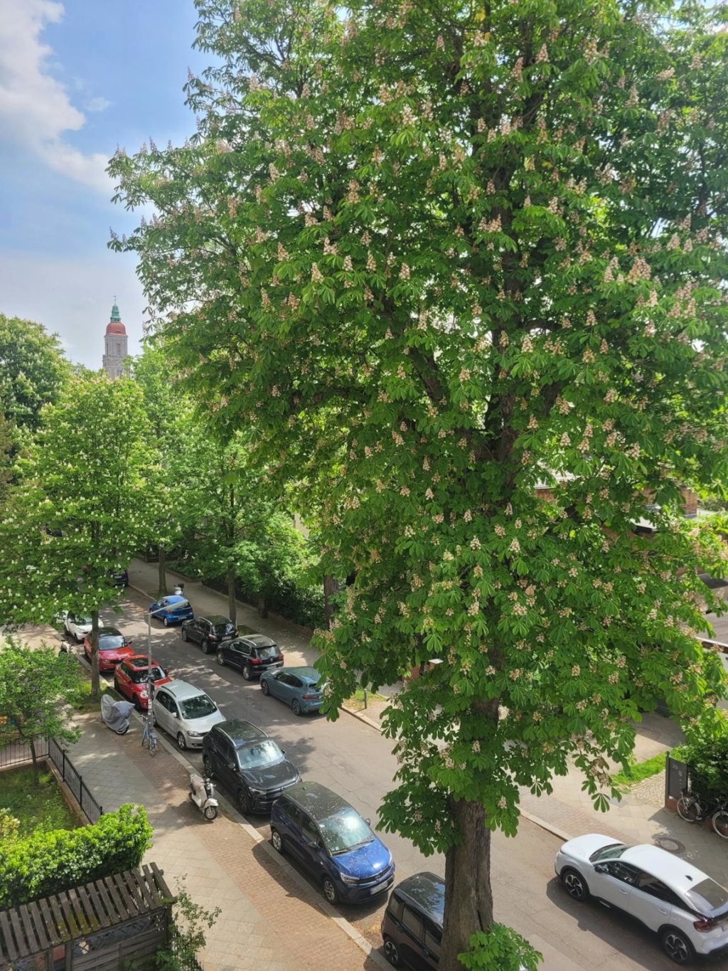 Albestraße, Berlin – Albestraße, 12159 Berlin Friedenau – Vorschaubild 4