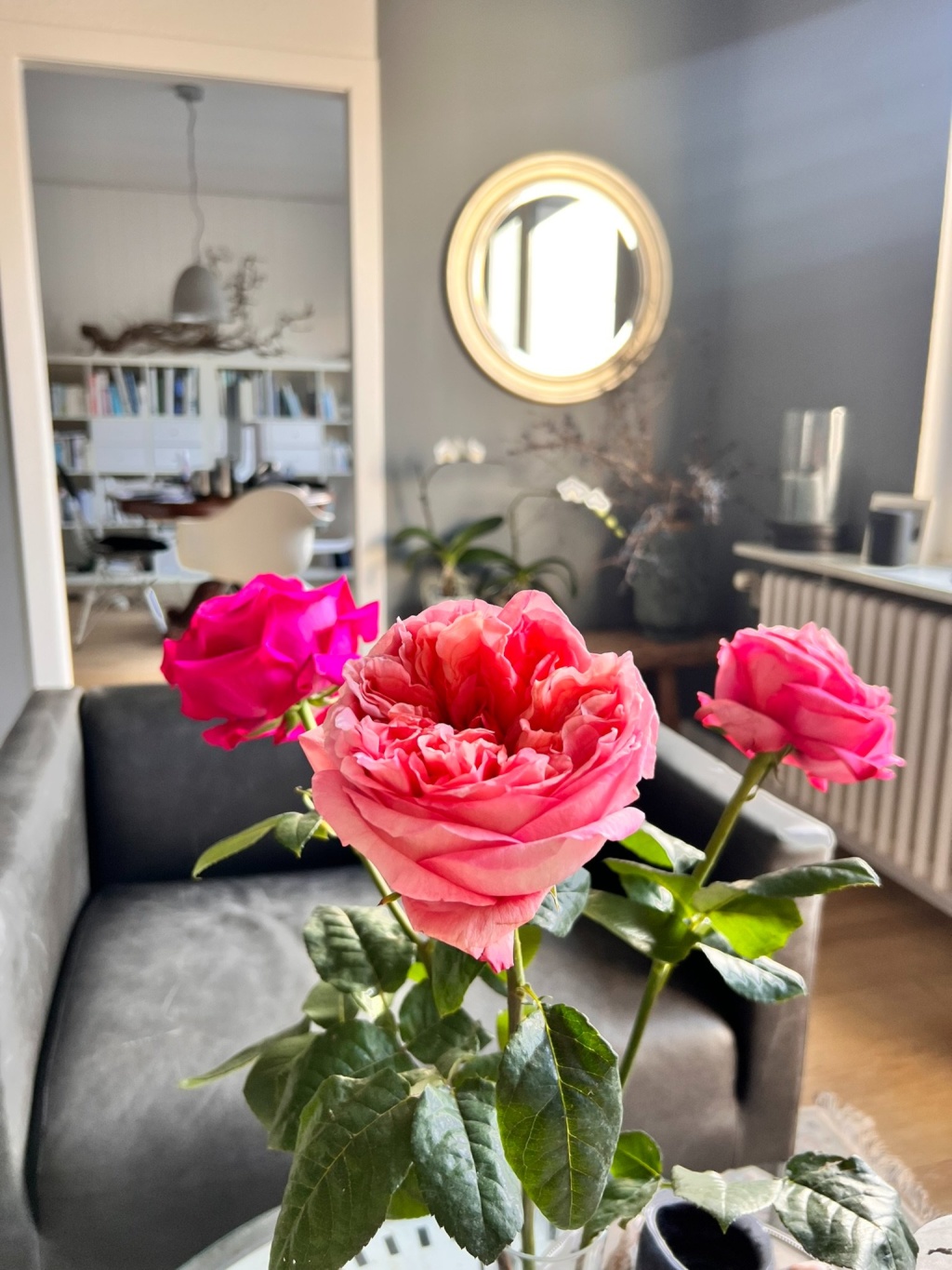 WG-Zimmer Stadtmitte Klosterstraße - Wohnzimmer mit meinem Zimmer im Hintergrund