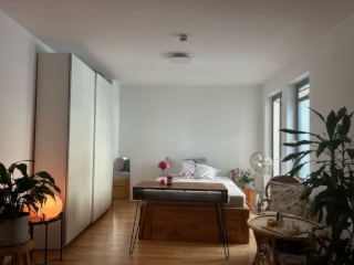 Anzeigenbild: schöne Einzimmerwohnung mit Dachterrasse